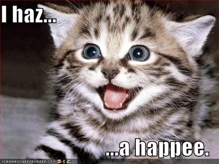 funny-pictures-kitten-has-a-happy_s